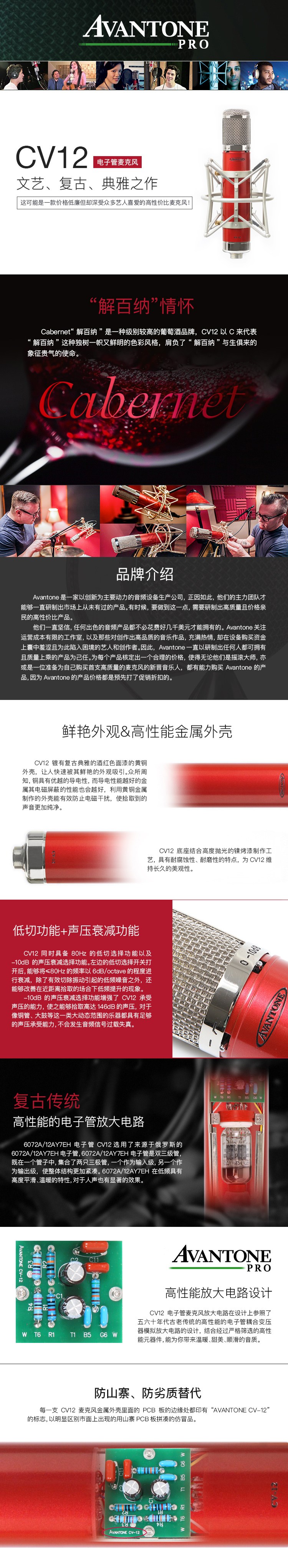 Avantone pro CV-12 CV12大振膜多指向电子管话筒麦克风插图