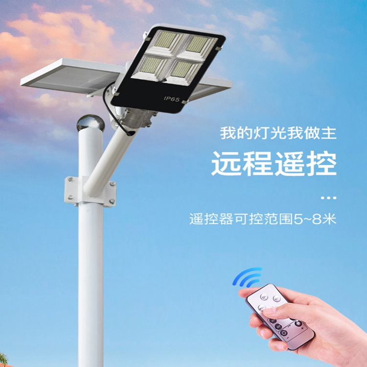 Dongliang New Energy Solar Street Light Lithium Battery Light Rural Lighting