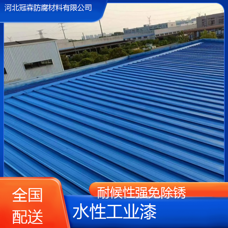 冠森 批量供应 水性工业漆 耐候性强免除锈 全国配送
