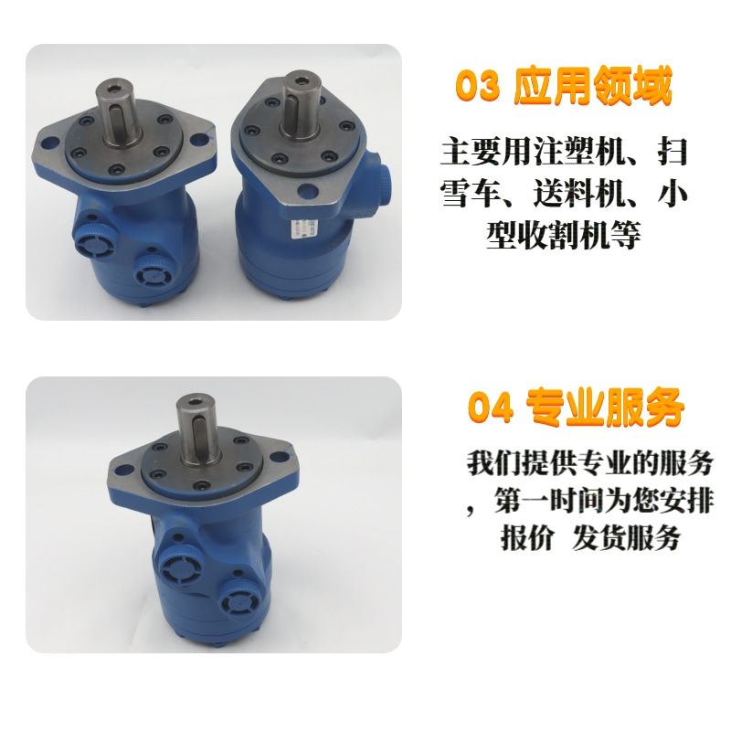 Industrial cycloidal motor HMP50/HMP63/HMP80/HMP100 hydraulic motor