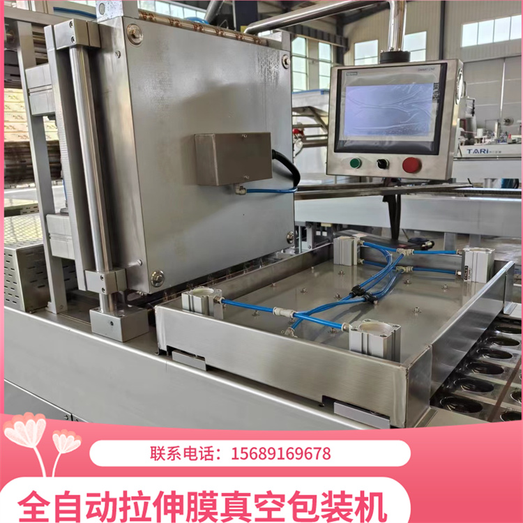 Fully automatic TR-420 continuous stretching film vacuum sealing machine Automatic food vacuum packaging machine