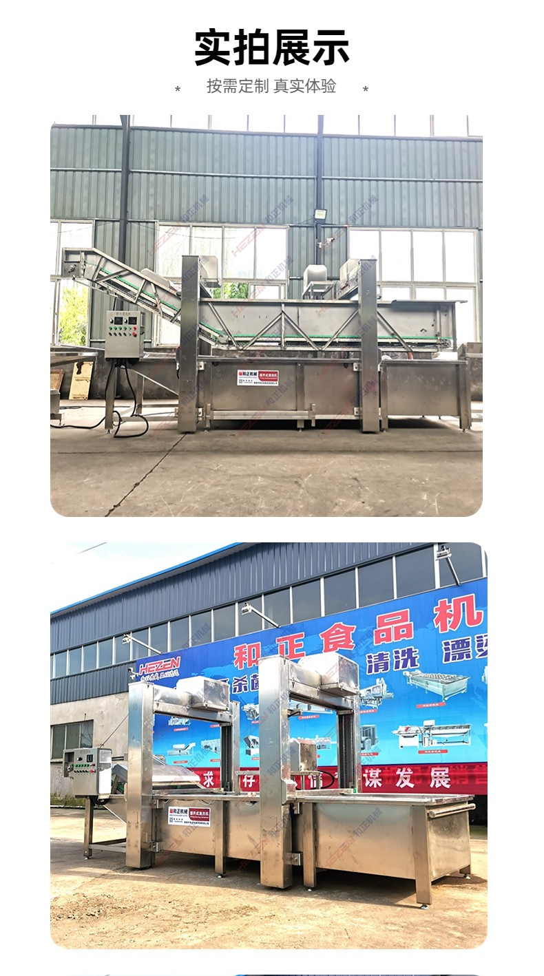 Elevated Salted Vegetable Desalination and Cleaning Equipment Fully Automatic Central Kitchen Fruit and Vegetable Bubble Cleaning Machine