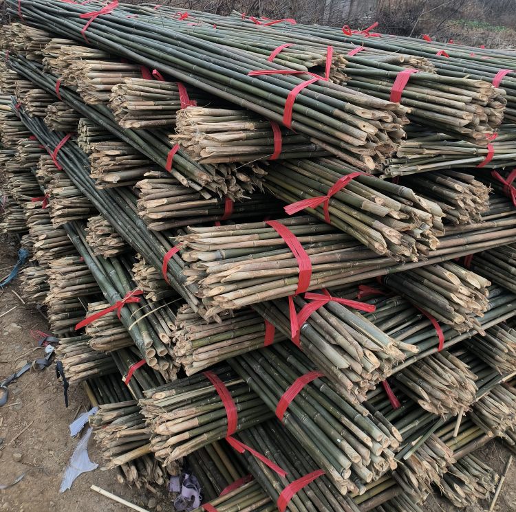 厂家现货各种瓜果蔬菜架竹杆 园林绿化支撑竿 温室竹竿竹片 定制加工