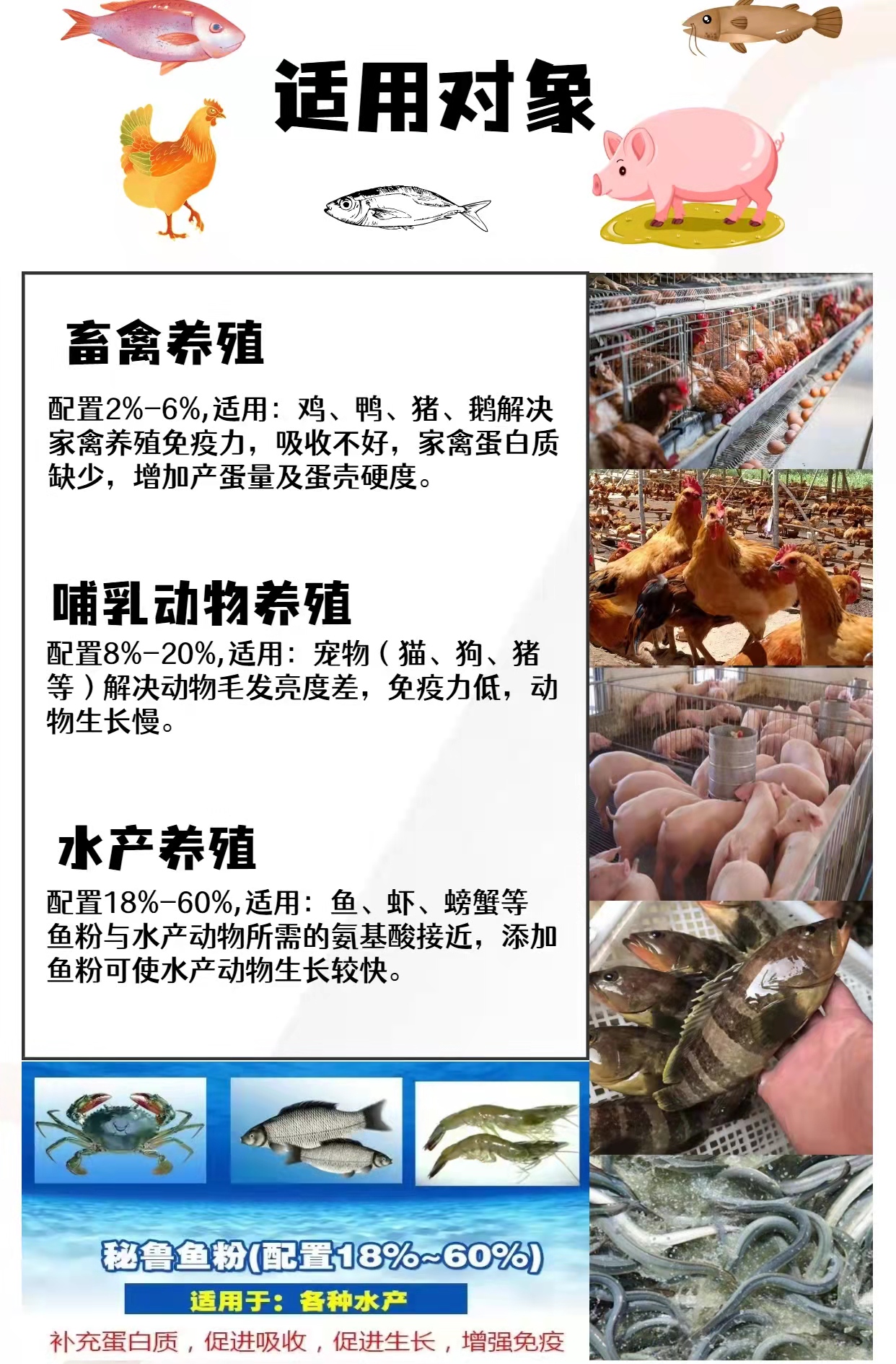 Japanese grade imported Peruvian fish meal protein with a content greater than 67% is very helpful for the growth of young animals