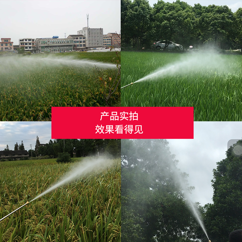 Automatic coil sprayer small gasoline spray citrus orchard pest control sprayer farm epidemic prevention mist sprayer