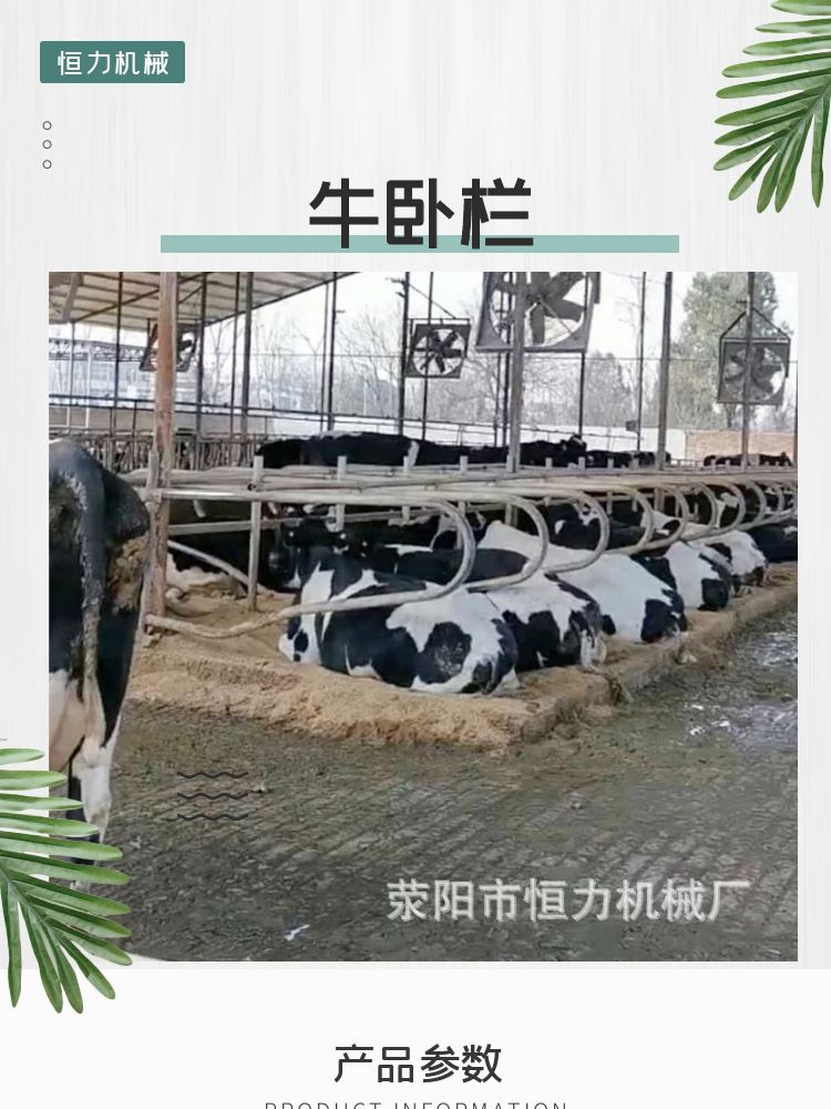 Thickened Cow Beds for Dairy Farms Hengli Brand Animal Husbandry Equipment Size of Cow Beds Made of Hot-dip Galvanized Material Cow Beds