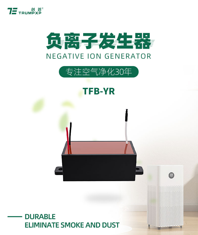 Zechuang manufacturer's billions level high concentration negative ion generator, home appliance dust removal, sterilization and purification accessories TFB-YR