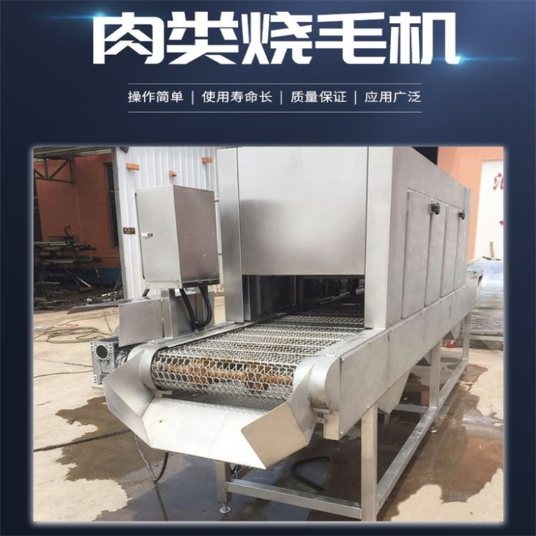 Yixun Pig Head and Pig Feet Roasting Machine Chicken Duck Goose Roasting Machine Sheep Head and Pig Feet Roasting Equipment