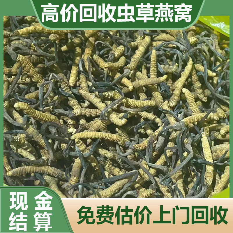 泰 州虫草回收 随叫随到 24小时在线 散装礼盒装均可 顶潮