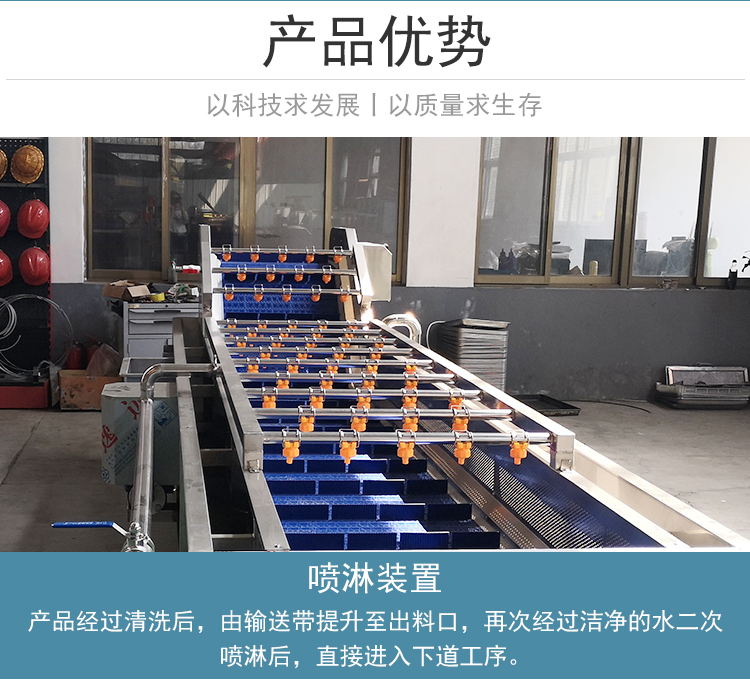 Fully automatic vegetable cleaning and processing equipment, fruit and vegetable deep processing pre-treatment equipment, and completion machinery