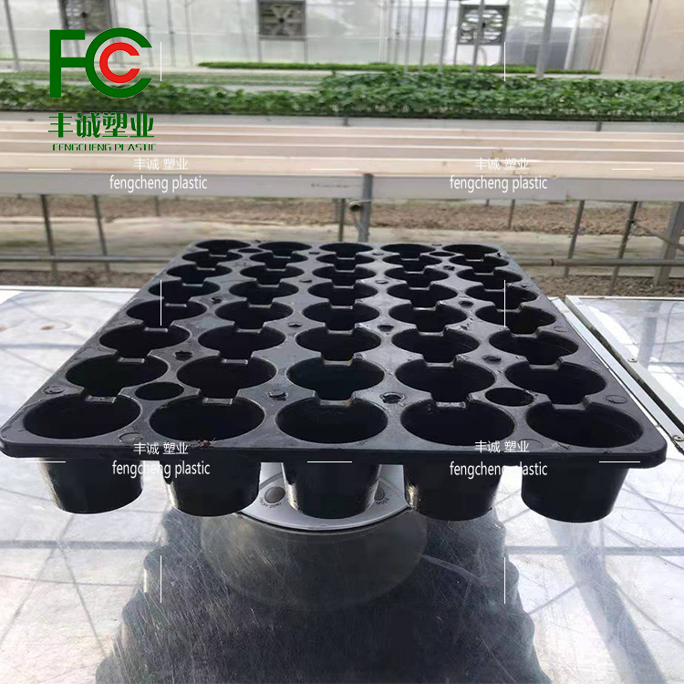 Brand new black seedling tray for flowers, succulent vegetables, melons, and fruits