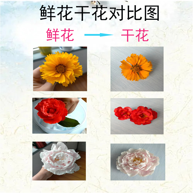 Fresh flower desiccant for making plant specimens with immortal flowers DIY fine porous silica gel particles mixed with blue indicator