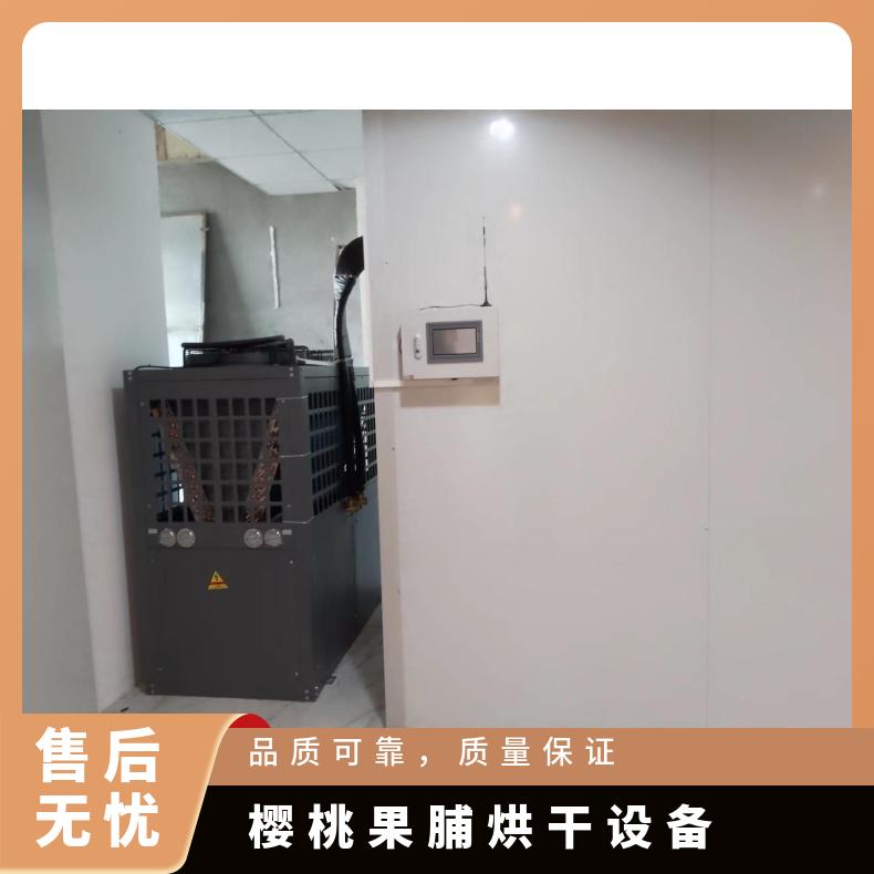 全自动樱桃烘干机 空气能草莓苹果水果烘干设备 易操作 低耗能 可测量