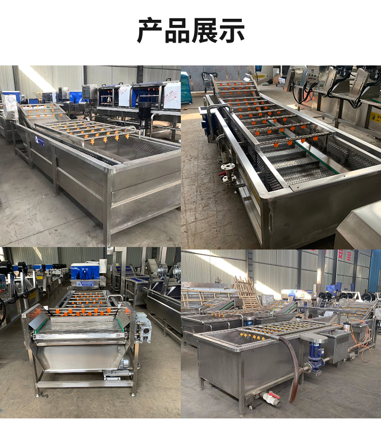 Grape bubble cleaning machine, plum high-pressure spray cleaning equipment, okra vegetable washing machine