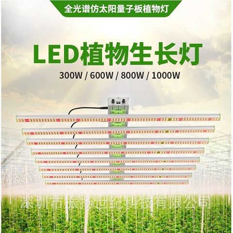 Laser plant growth supplementary light greenhouse fruit and flower planting plant light equipment solar planting light