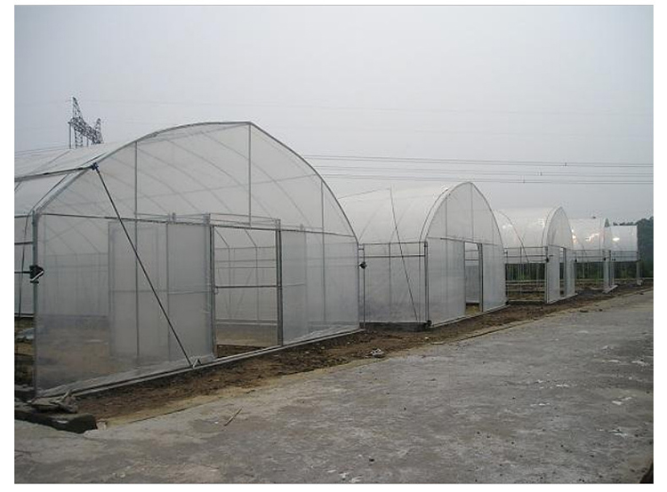 Shuaifeng manufacturer sells polyethylene greenhouse film, agricultural plastic cloth, non dripping film, moisturizing and insulation wholesale customization