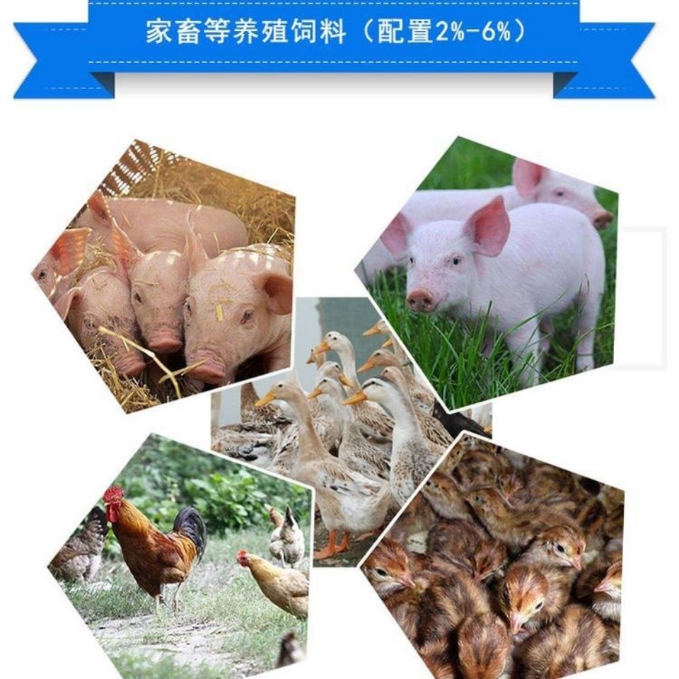 Peru Fish Meal, Aquaculture, Livestock and Poultry Breeding, Nutritional Additive Feed Core Raw Materials