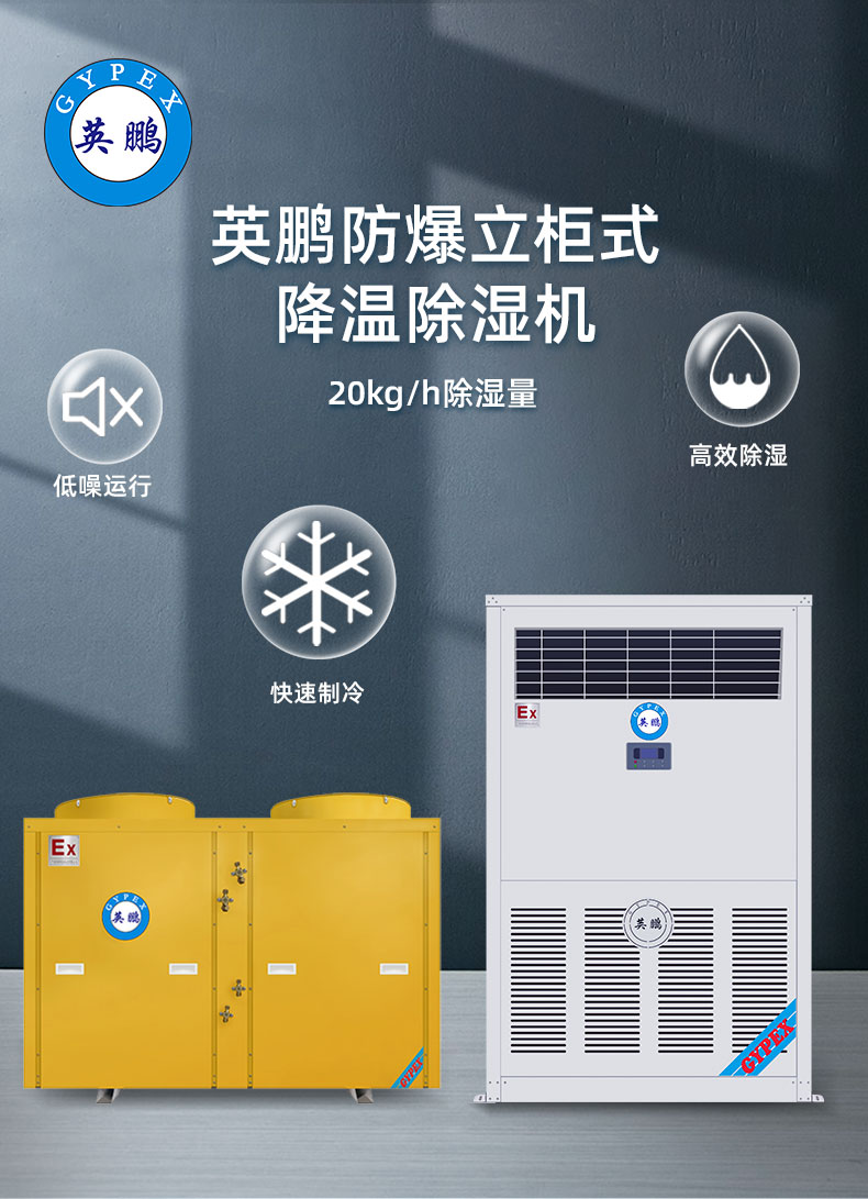 Yingpeng Explosion proof Cooling Dehumidifier Industrial Dehumidifier BCF-20CJ (G) Dehumidifying capacity 20kg/h 380V