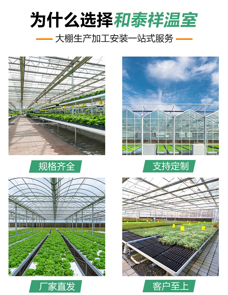 Single arch, single film, double arch, double film vegetable seedling cultivation greenhouse, spring and autumn single arch greenhouse