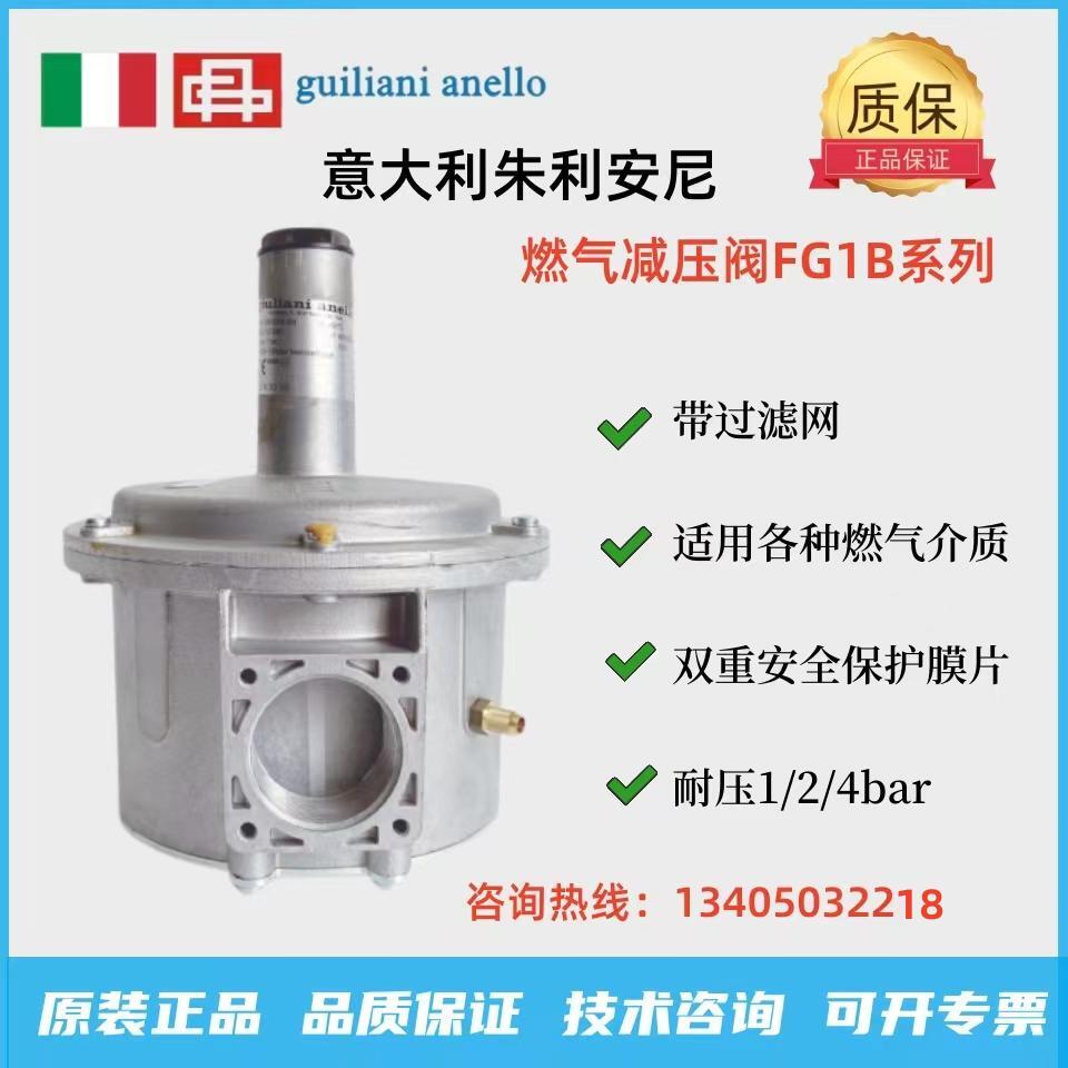 Giuliani combustion pressure reducing valve pressure regulating valve pressure stabilizing valve FG1B15 FG1B25 FG1B40 FG1B50