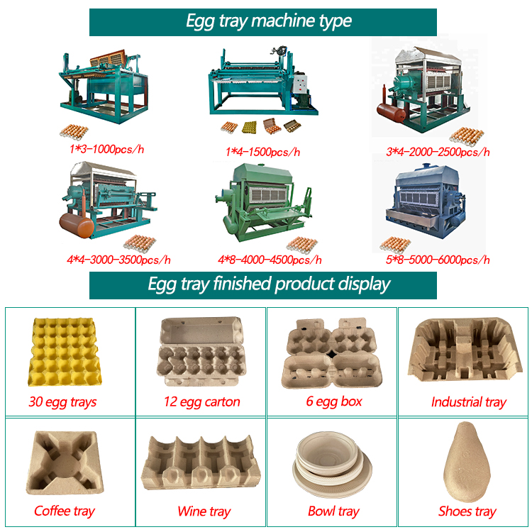 Guangmao Egg Tray Machine Produces 1000 Small Assembly Lines for Egg Tray Forming and Pulp Molding Equipment