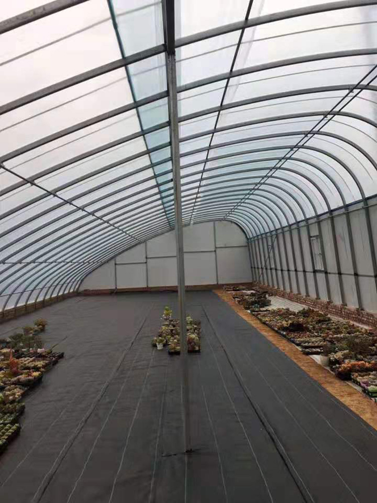 Shuaifeng Greenhouse Plastic Greenhouse Film Greenhouse Film PE Transparent Film Manufacturer Long term Cooperation Purchase by Phone