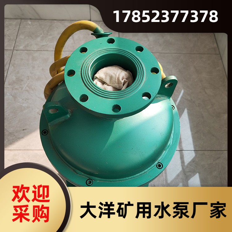 防爆排沙排污 防堵效果好 BQS50-70-22/N 矿用排沙电动泵 欢迎采购