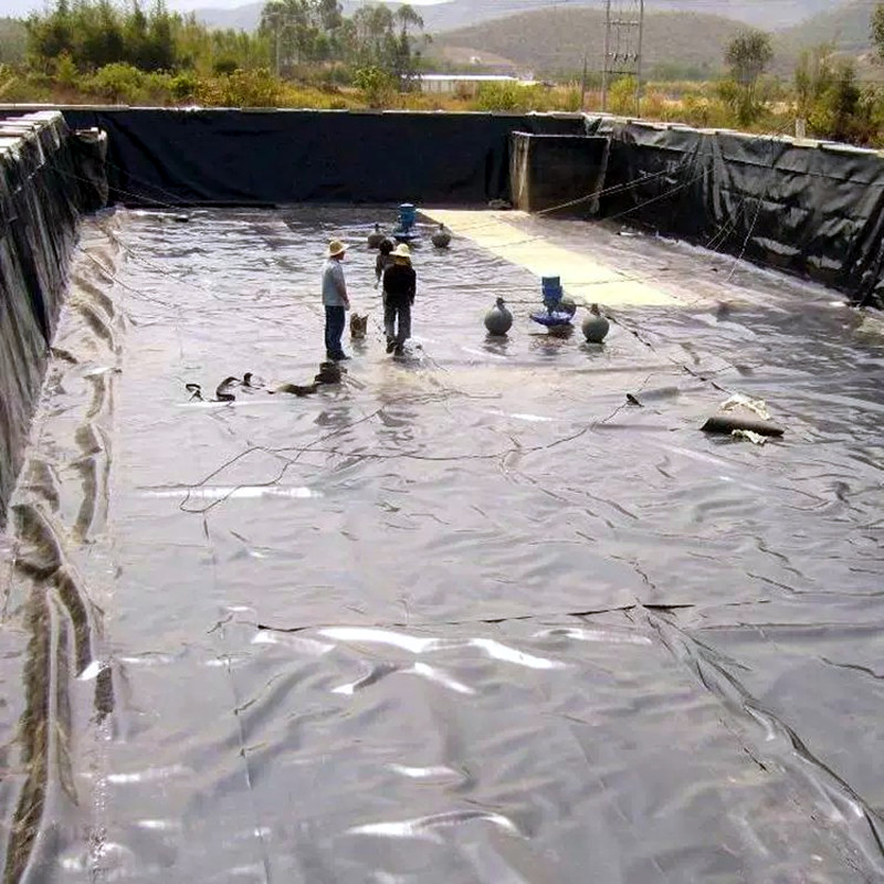 High density polyethylene HDPE geomembrane double rough surface landfill anti-seepage membrane Yingyue