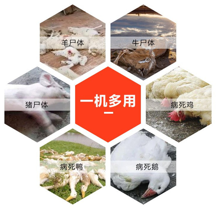 Jinxu Energy's 5 tons/day harmless treatment equipment for sick and dead stray animals, livestock and poultry corpse processing machine