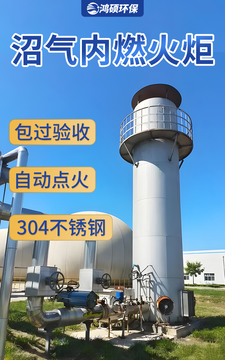 Landfill biogas torch Hongshuo breeding farm internal combustion biogas discharge equipment Garbage landfill biogas combustion torch