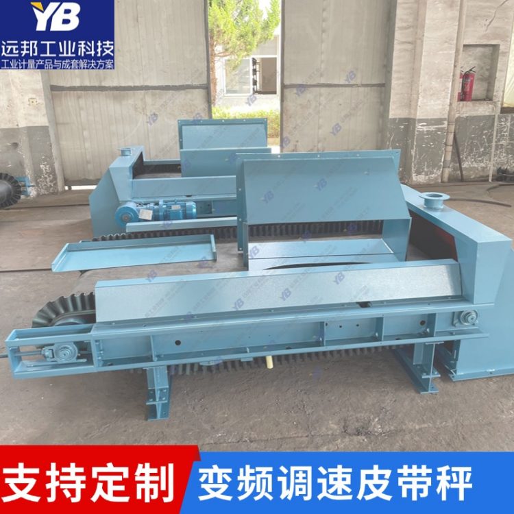 拖料皮带秤 钢厂定量给料机 DEM称重配料秤 YB-JGC远邦工业