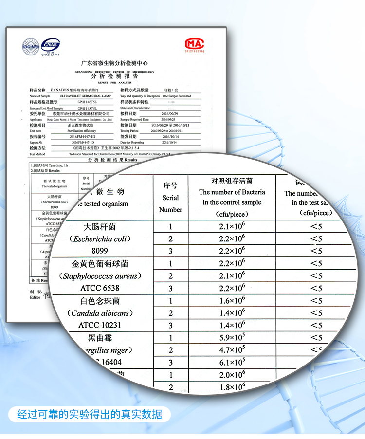 American KANADON ozone removal lamp APH180T5L sewage ultraviolet sterilization lamp tube