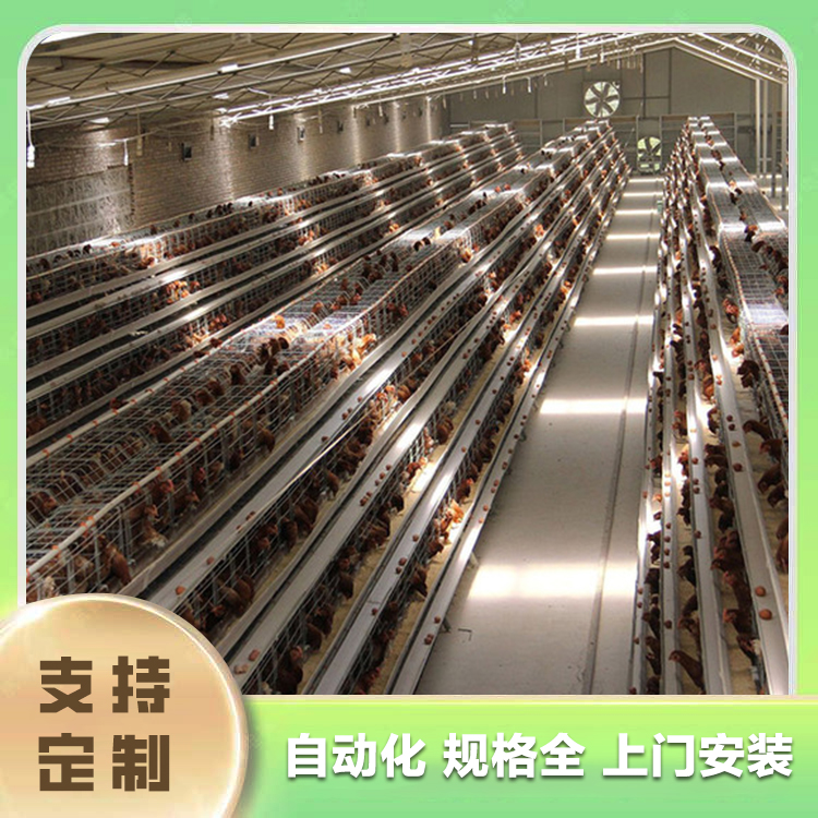 Automatic heating equipment for chicken farming Hegang chicken farming equipment Egg chicken farming price Hegang chicken farm equipment Egg chicken meat chicken farming equipment Meat chicken farming automatic equipment