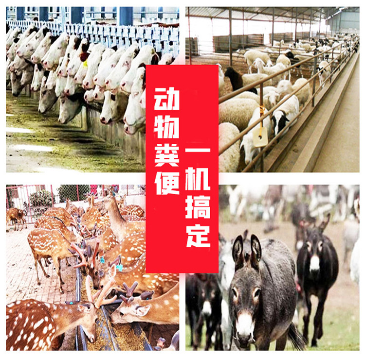 Cattle farm manure and sewage cleaning vehicles collect feces and use shovel manure water cleaning vehicles. Automatic manure transport machines for pastures