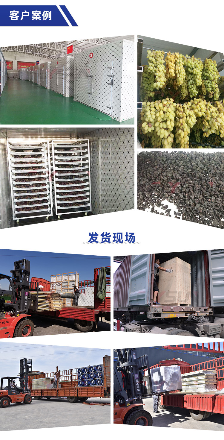 Grape raisin dryer, air powered raisin drying room, fruit drying machine, intelligent temperature and humidity control