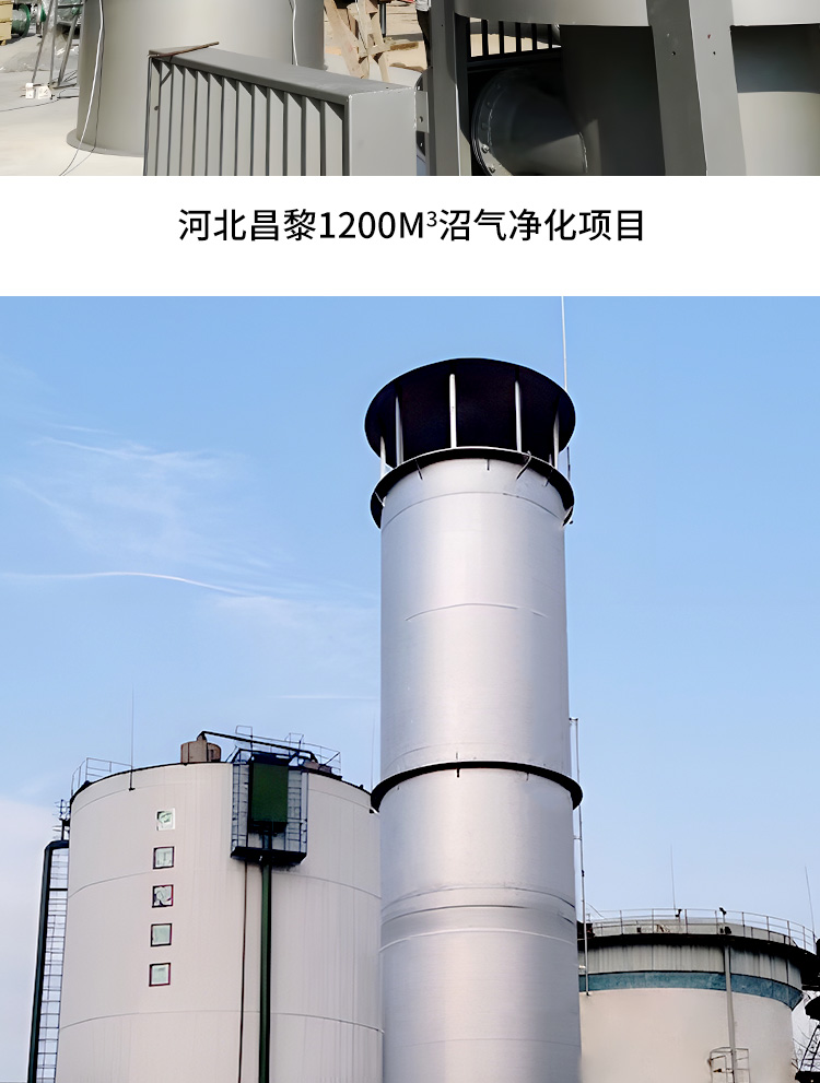 Garbage landfill biogas combustion torch Hongshuo internal combustion type stainless steel small-scale breeding farm landfill biogas torch