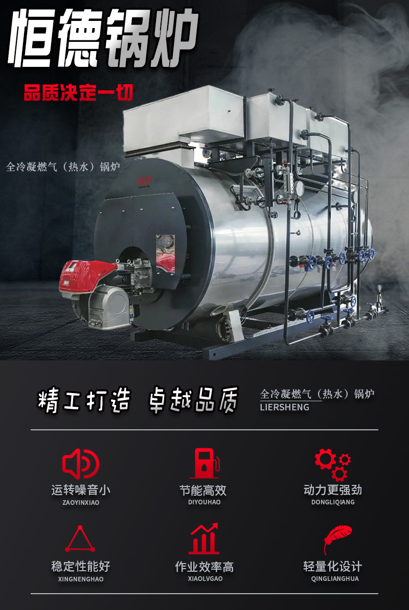 Hotel Bathing Hotel Heating and Hot Water Supply Special Fully Automatic Bathing Heating Vertical Fuel Gas Hot Water Boiler