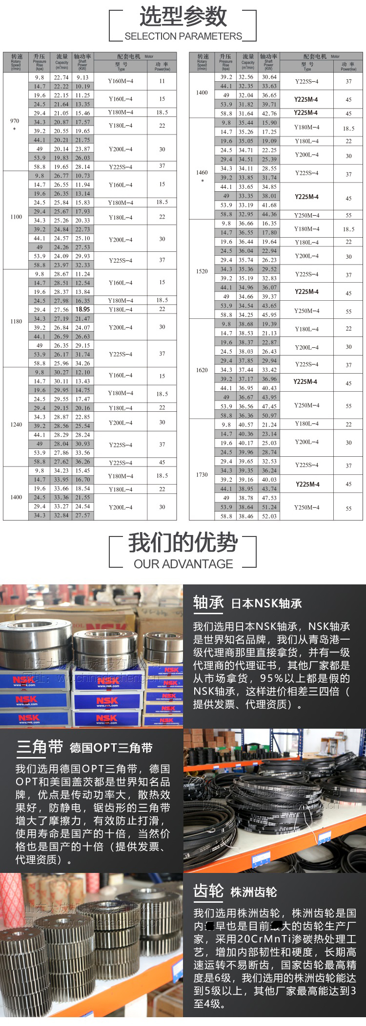 DSR175 Roots blower desulfurization and denitrification pneumatic conveying for environmental protection with high air volume and corrosion resistance