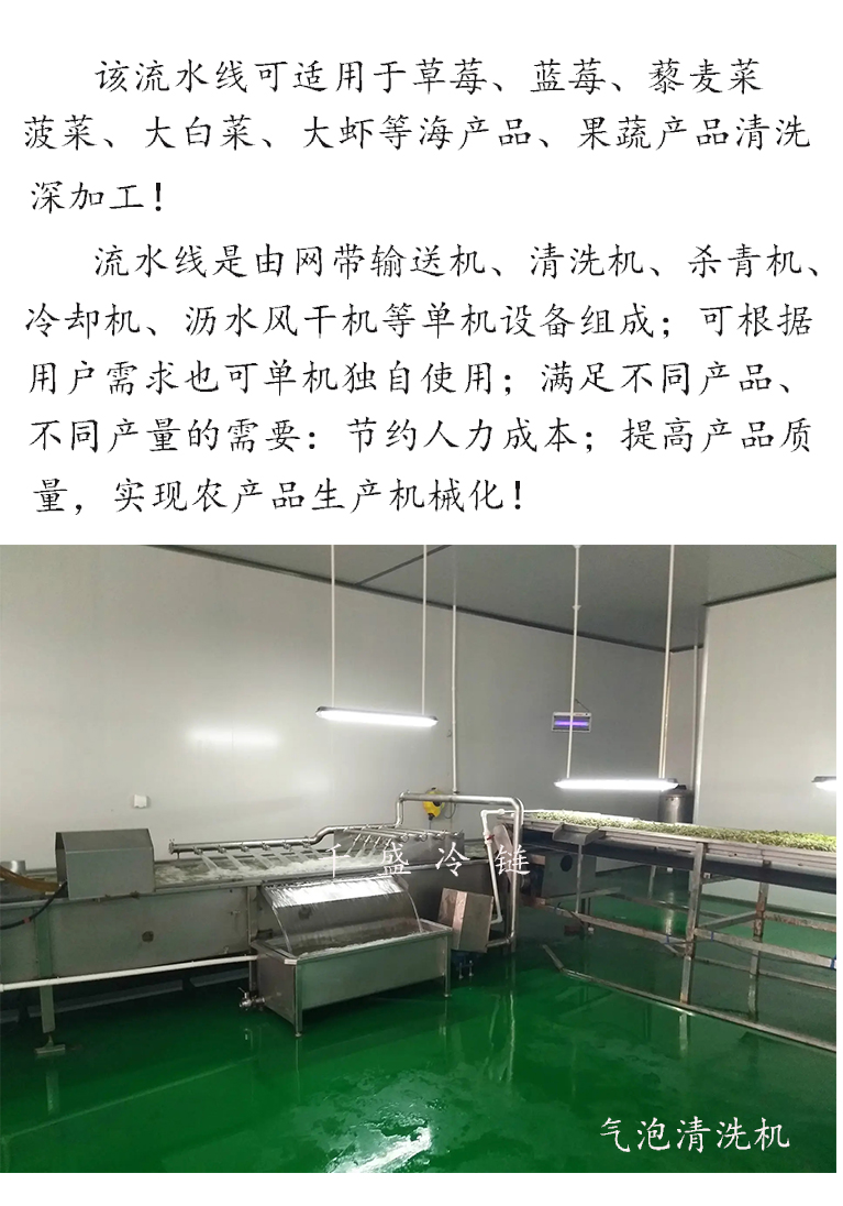 Bubble cleaning machine, fast food cafeteria cleaning equipment, restaurant vegetable and seafood washing machine