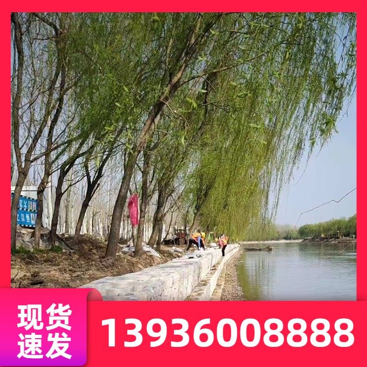 水泥生态框 市政工程预制水泥河道生态砌块 高强度 支持定制
