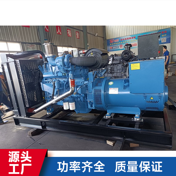 300kw domestically produced Yuchai diesel generator set with low fuel consumption Hospital factory emergency field construction Fishing ground breeding