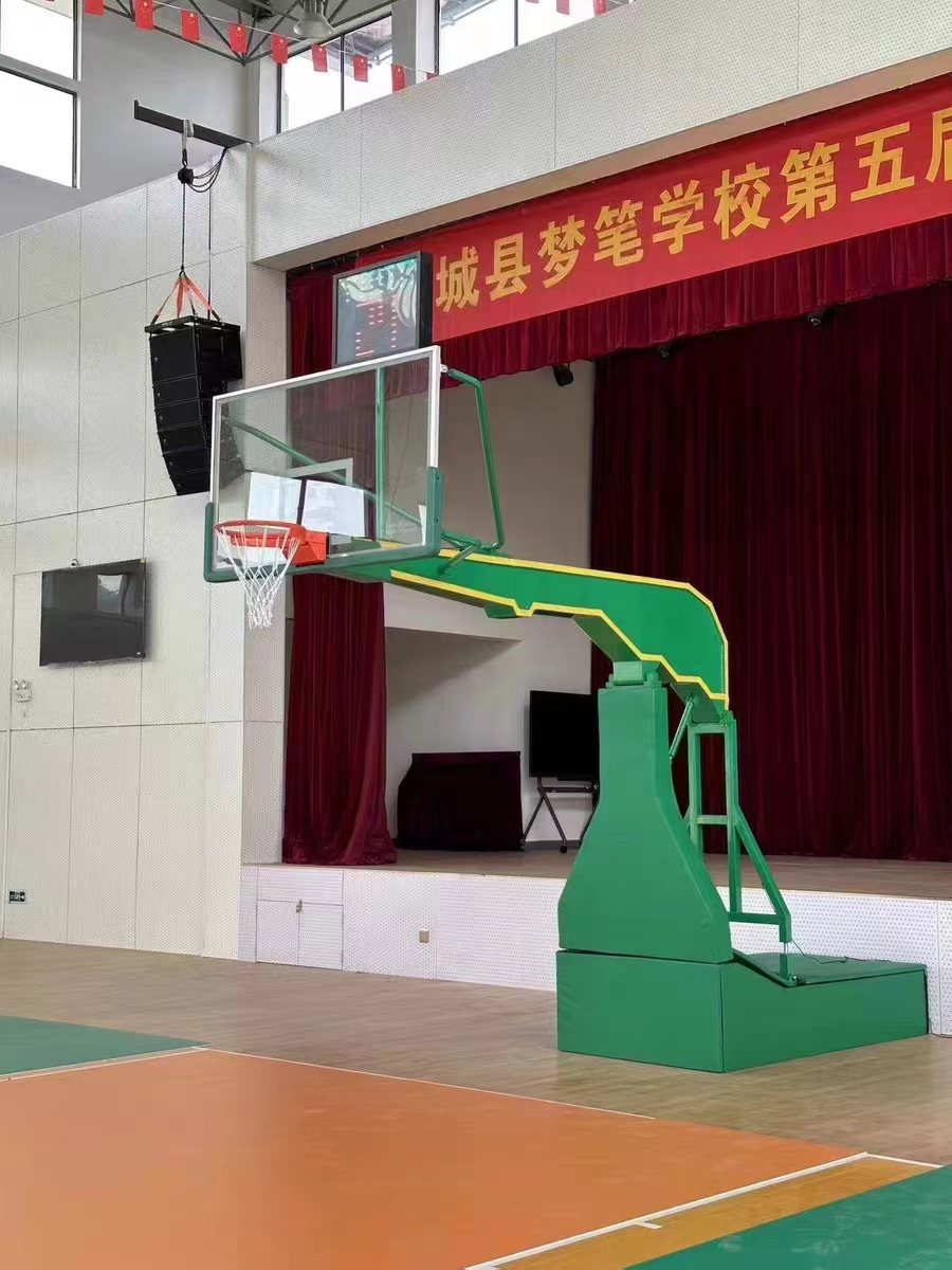 Electric hydraulic basketball rack indoor adjustable competition standard basketball frame giant winged bird