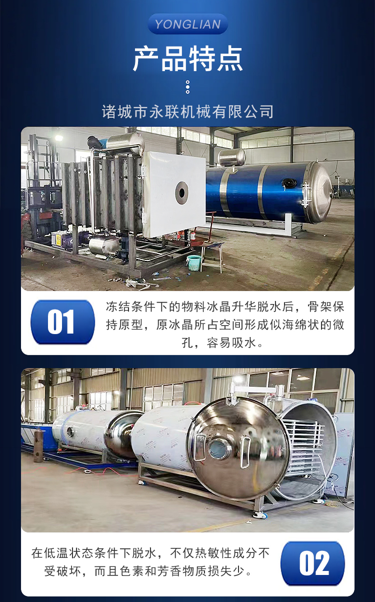 Yonglian DG-19 Tea Tree Mushroom Freeze-drying Machine is responsible for the installation, debugging, and quality assurance of the straw mushroom freeze-drying equipment