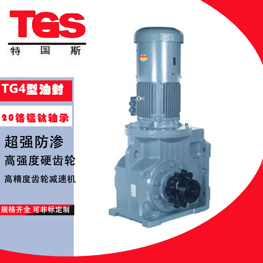 TA67 T67 T77 T87 T97 reducer TEGUOS TGS hollow shaft with flange walking lifting