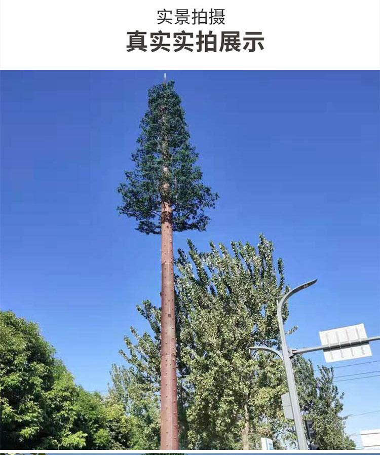 Kaifeng Biomimetic Tree Tower Communication Signal Tower Landscape Biomimetic Tree Single Pipe Communication Tower with Strong Impact Resistance Customized by the Manufacturer