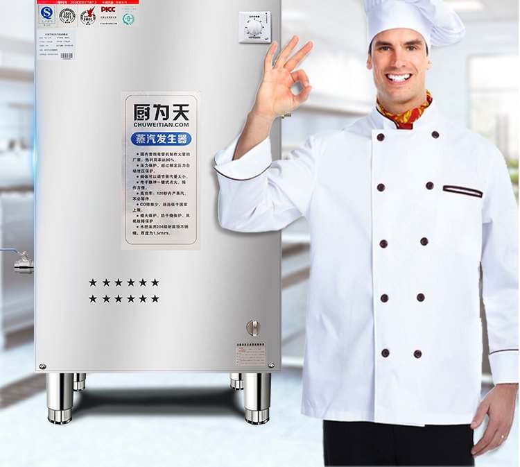 Commercial gas steam generator Steam engine bean curd boiling machine wine making steam Mantou machine natural gas energy-saving boiler