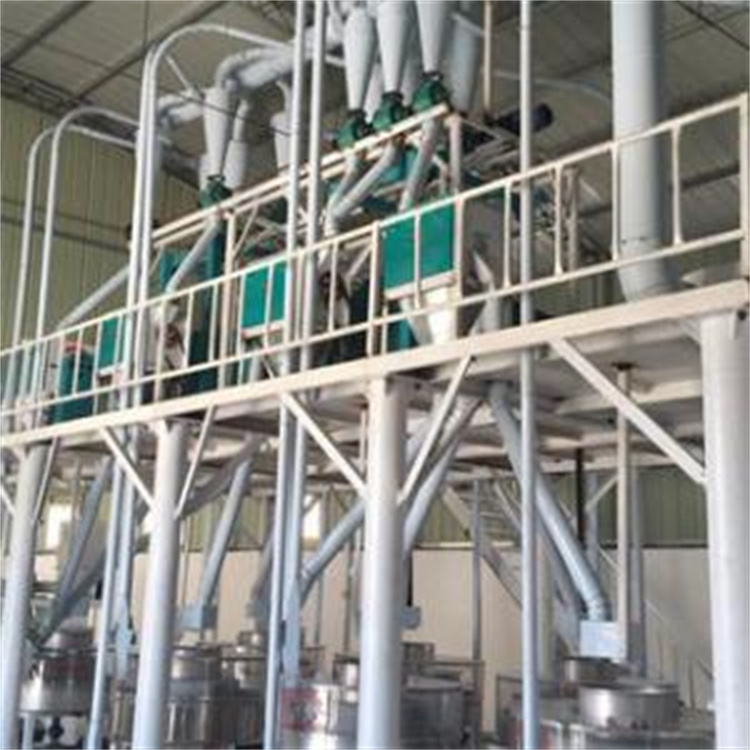 500 ton flour processing equipment, complete set of flour machinery equipment, Zhongrui grain and oil wheat flour machine