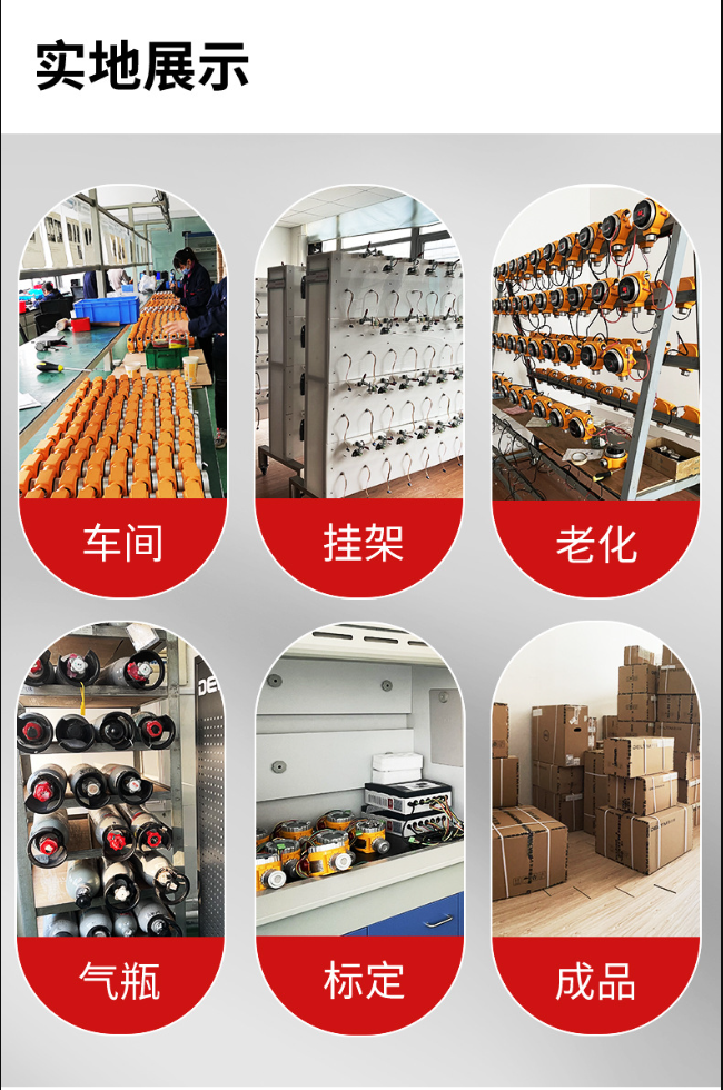 Combustible gas alarm fixed industrial and commercial natural gas spray painting room boiler room dedicated detector