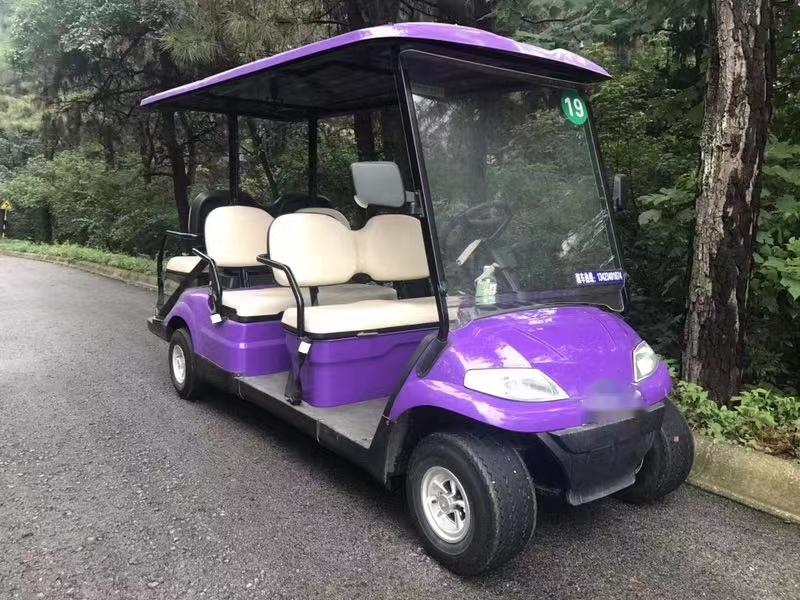 Rickette 8+3 Golf Cart Electric Golf Cart 8-seater