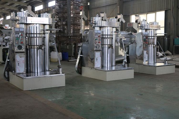 Commercial stainless steel hydraulic oil press/multi-function sesame oil press/full-automatic Cottonseed oil press